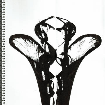 引き紐画「姫神」