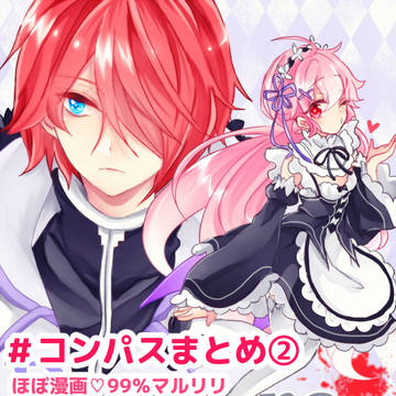 # コンパスまとめ②(99％マルリリ）