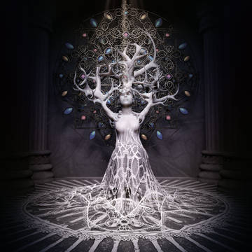 071 Druidas