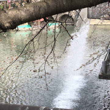 聲の形  聖地