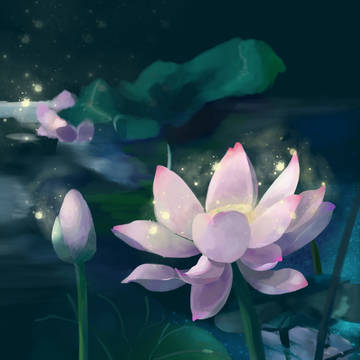 荷花