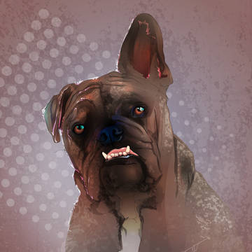 ブルドッグ Bulldog