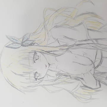 세나 セナ