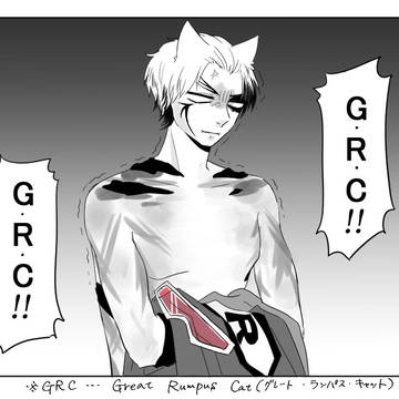 喧嘩猫さん