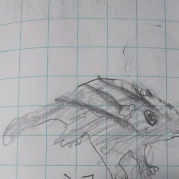1分で描けるシマリス