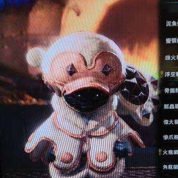 Raku Cos Ｍonster Hunter艾路浮空貓裝