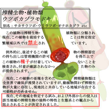 搾精生物その2 ウツボカヅラモドキ