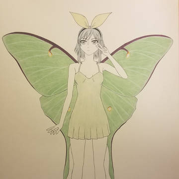 ルナ蛾
