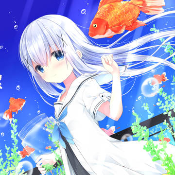 チノちゃん。