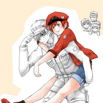 白赤
