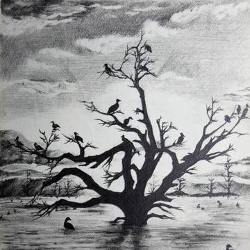 树