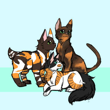猫