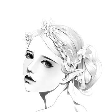 sketch