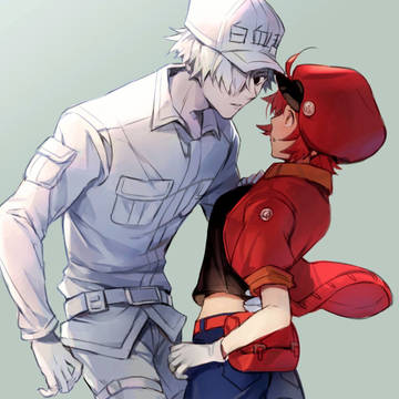 白赤