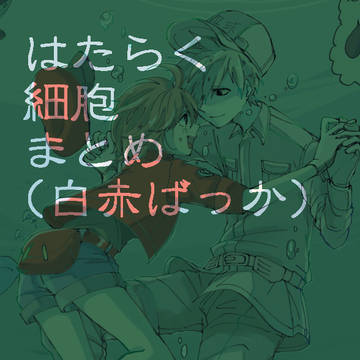 白赤まとめ