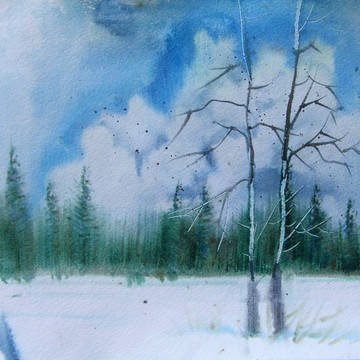 Frosty Expanse