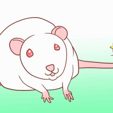 ねずみ