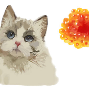 ねことか