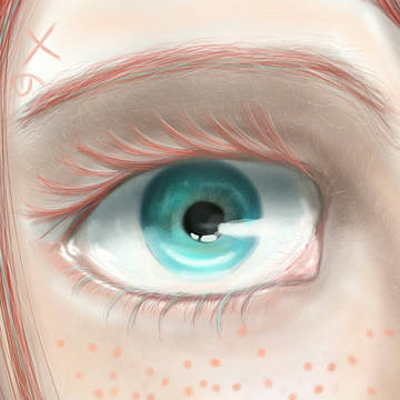 fels eye