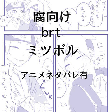 ミツボルlog