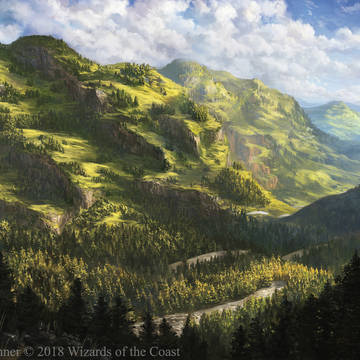 Magic: The Gathering Forest