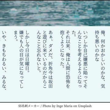 SS名刺詰め詰め❇