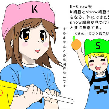 はたらくSK細胞