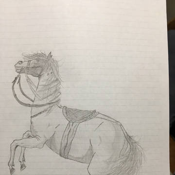 ナポレオンが乗ってる馬