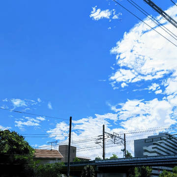 写真模写