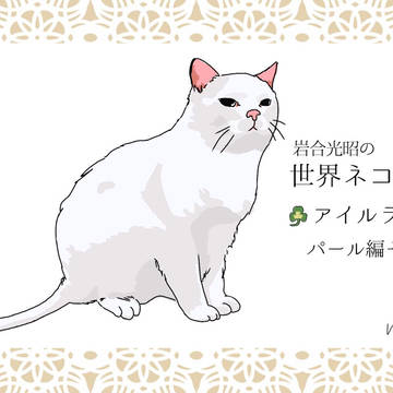 世界ネコ歩きレポ パール編その①
