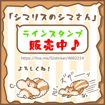 シマリスのシマさん