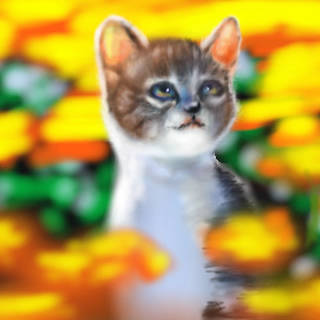 ネコ花畑