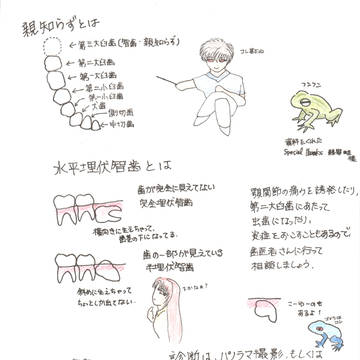 親知らず談義　挿絵