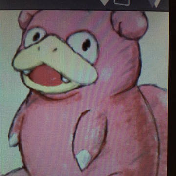 ヤドーん