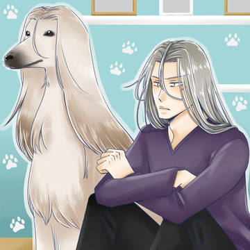 【漫画】ジンさんとアフガンハウンド