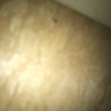 什么都不是的东西