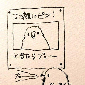 (ほぼ)鳥まとめ2