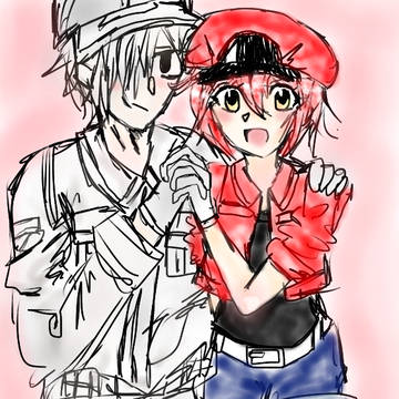 【はたらく細胞】白赤らくがき