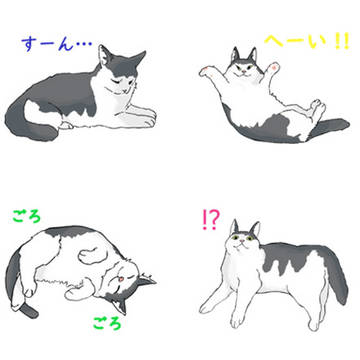 寝そべり猫スタンプ
