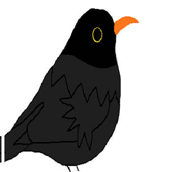 ブラックバード