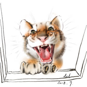 Young tiger