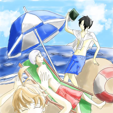海