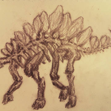 ステゴサウルス　（ラフ画）