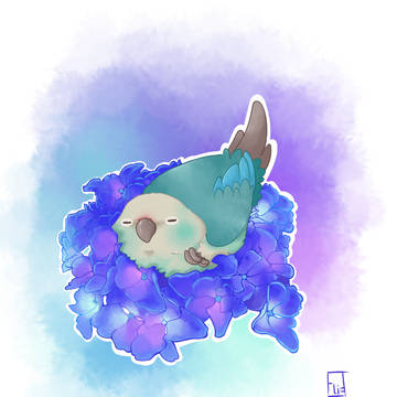 Hortensia birb