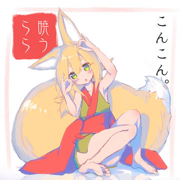 こんこん