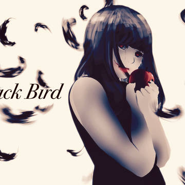 Black Bird
