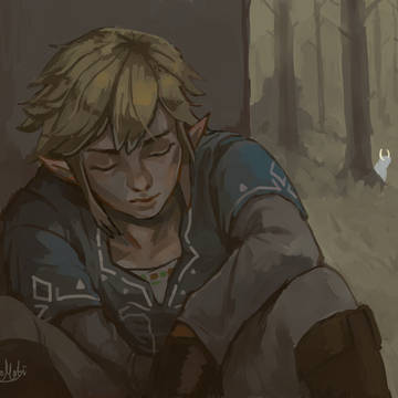 "Time out" - Zelda Botw