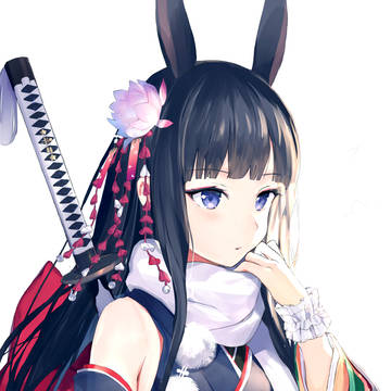 🐰