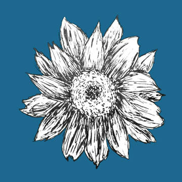 名のない華