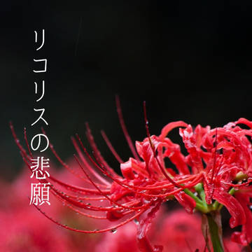 リコリスの悲願